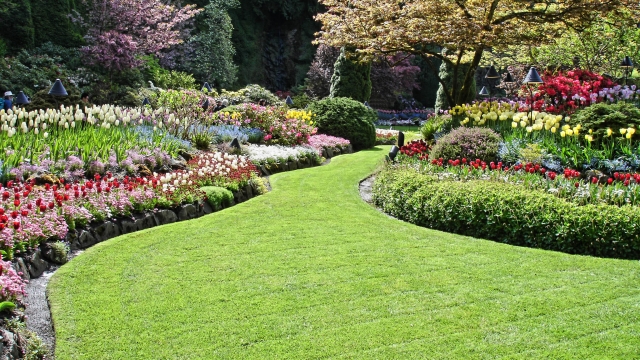 The Art of Maintaining Beautiful Commercial Landscapes