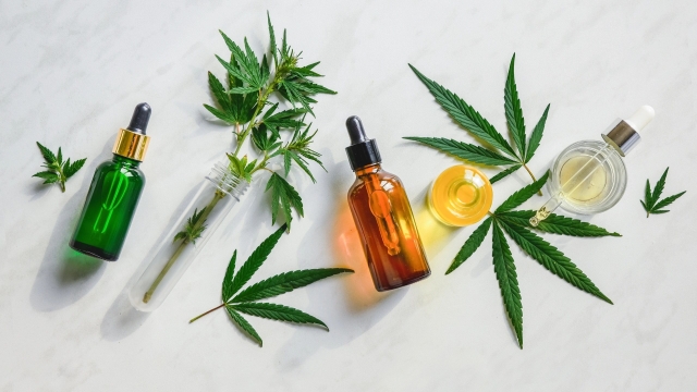 The Remarkable Benefits of CBD Products: Unlocking Nature’s Healing Powers