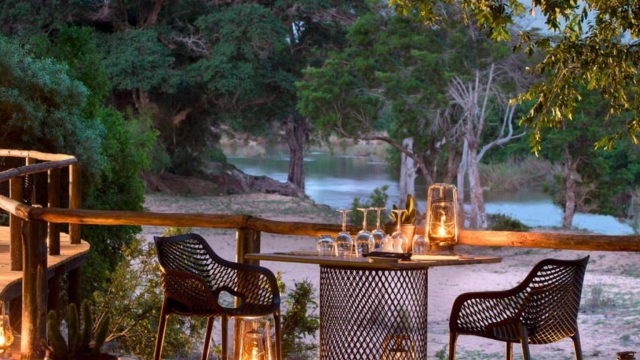 Roaming Royalty: Embarking on a Luxe Safari Experience