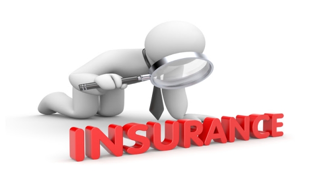 Protecting the Future: A Guide to Small Business Insurance