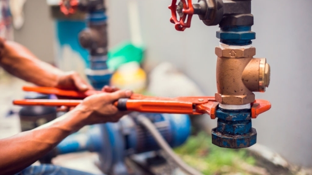 Dive into the World of Plumbing: Unleashing the PlumbingPlumbing Secrets