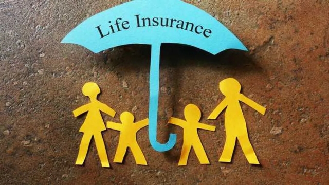 The Keys to Choosing the Perfect Insurance Agency