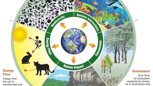 Harmony in Nature: Exploring the Marvels of Ecology and Biodiversity