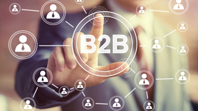 Unlocking Success: The Ultimate Guide to B2B Strategies