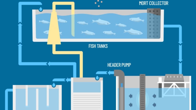 Ocean Innovation: Revolutionizing Aquaculture Technology for Sustainable Seafood