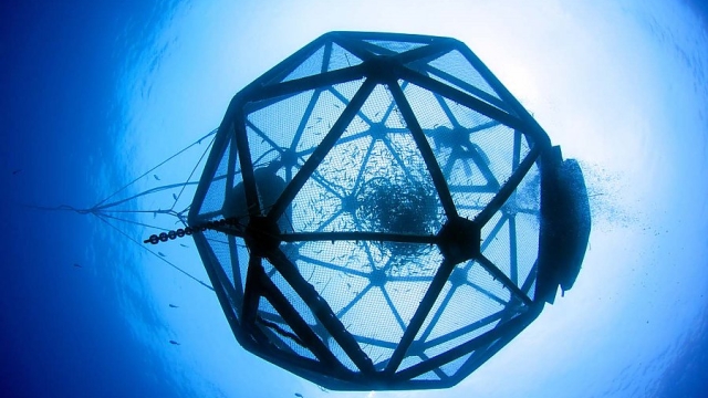 Ocean Innovation: Revolutionizing Aquaculture Technology for Sustainable Seafood