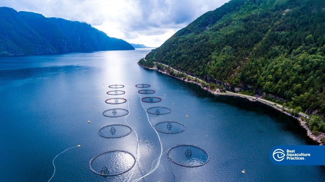 Revolutionizing the Blue: The Future of Aquaculture Technology