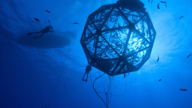 Revolutionizing the Deep: The Future of Aquaculture Technology Unveiled